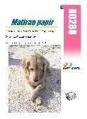 R0280 Matte papir za barvne laserske tiskalnike 210x297mm 1pola